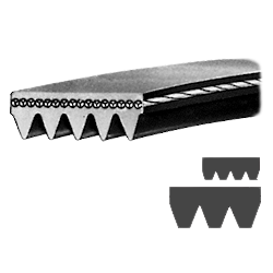 Ribbed belts