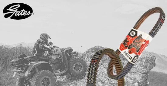 Variator belts for CVT drives of ATVs, scooters and recreational vehicles